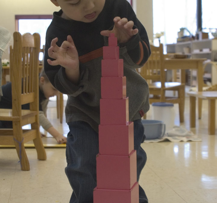 This Material’s Purpose: the Pink Tower and the Brown Stair