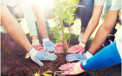 120 Trees To Be Planted in Hershey’s Name