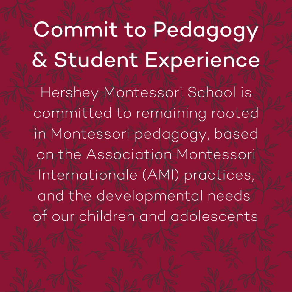 Hershey Montessori School | About | Mission, Vision, and Core Values