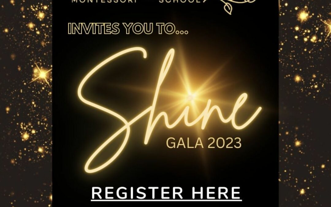 SHINE, Hershey Gala 2023, is May 6th!