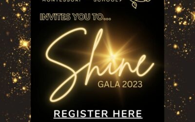 SHINE, Hershey Gala 2023, is May 6th!