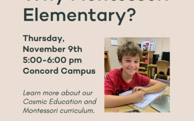 Why Montessori Elementary?