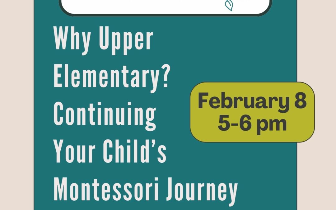Why Upper Elementary? Continuing Your Child’s Elementary Journey