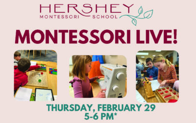 Montessori Live!