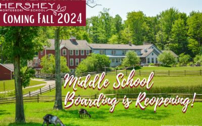 Middle School Boarding Reopens
