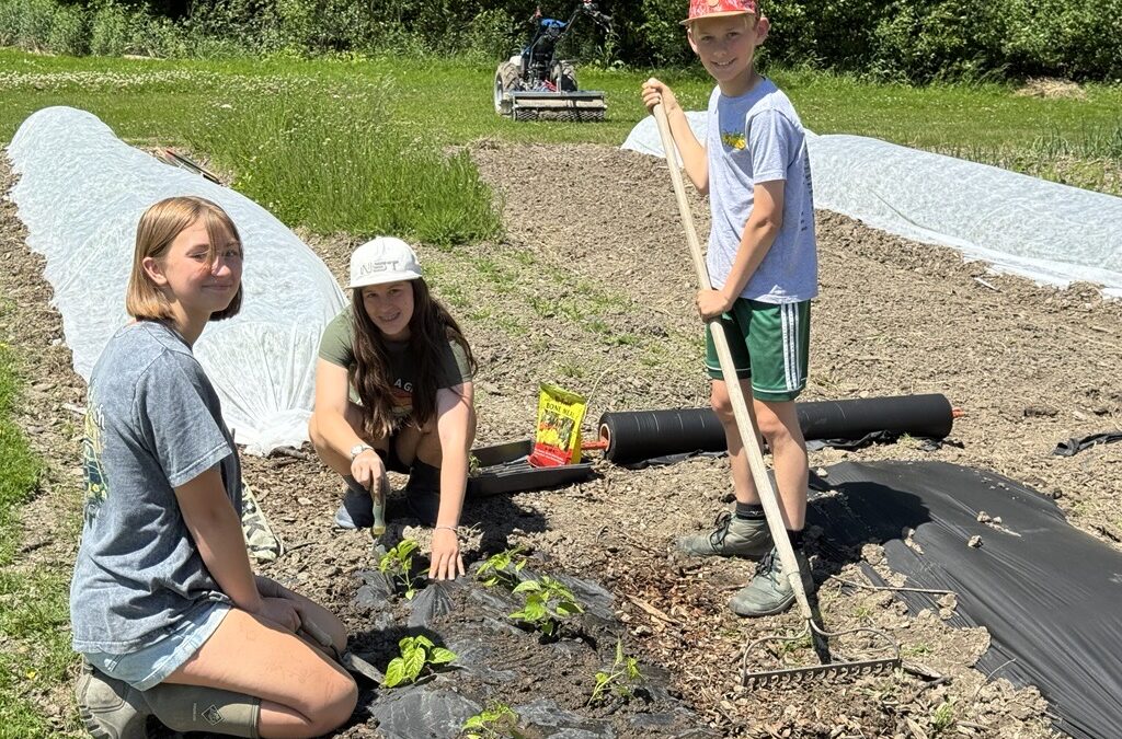 Hershey Montessori Adolescents Launch Summer Market Initiative, Partner with Local Food Program