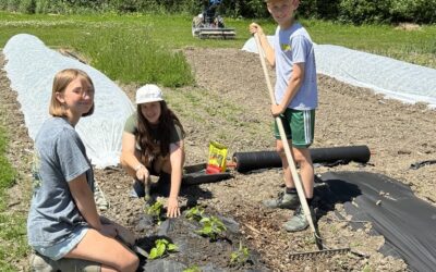 Hershey Montessori Adolescents Launch Summer Market Initiative, Partner with Local Food Program