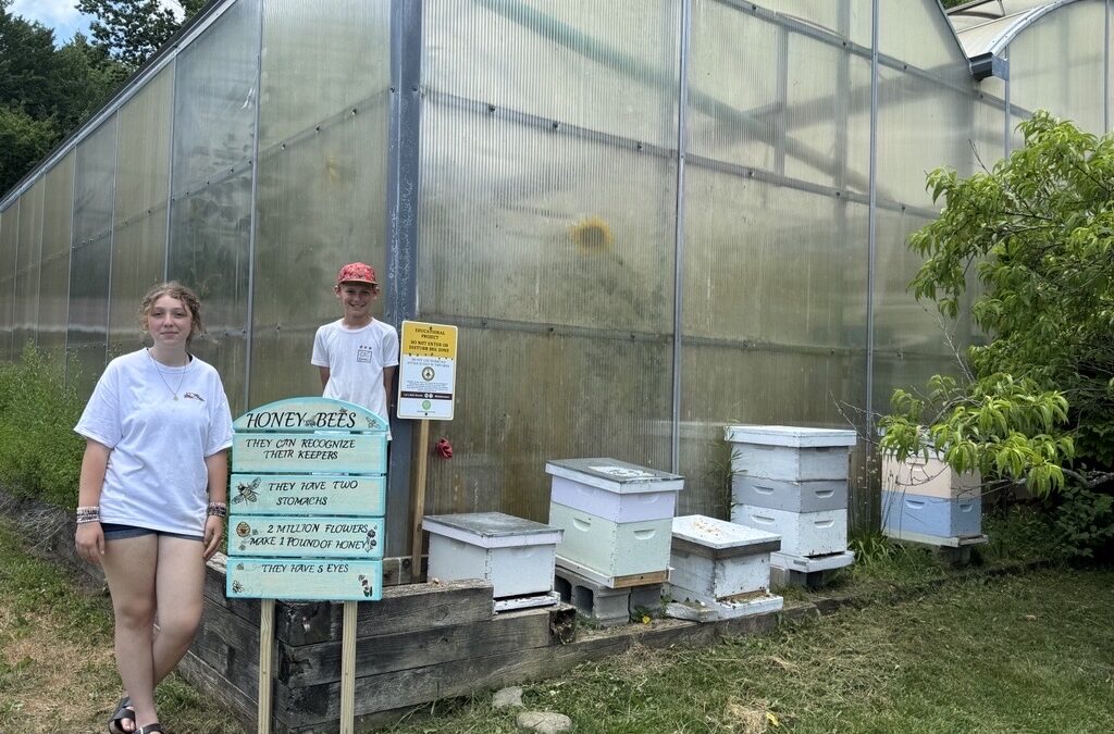 Hershey Montessori School Awarded Whole Kids Foundation Bee Grant
