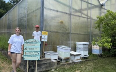 Hershey Montessori School Awarded Whole Kids Foundation Bee Grant